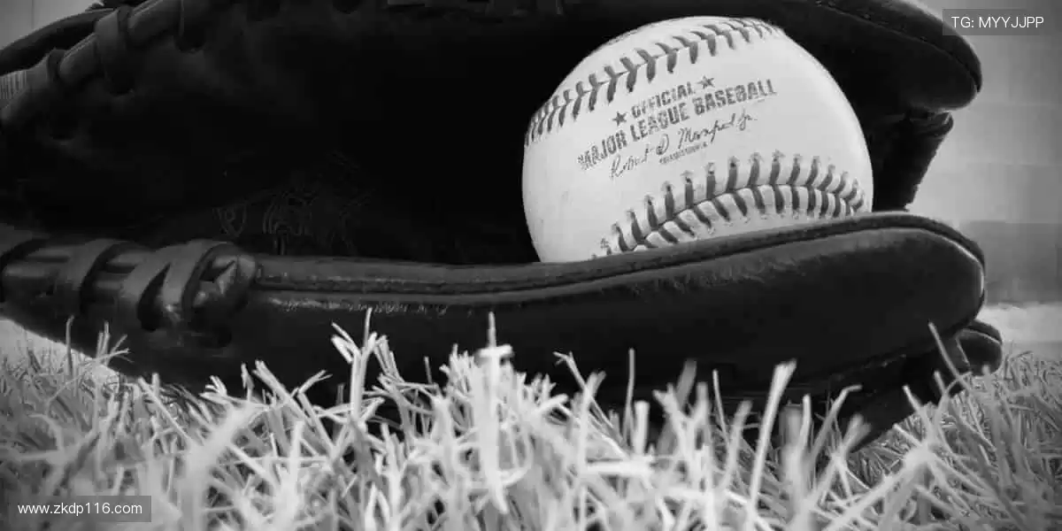 📱高清直播，随时随地掌控赛事！